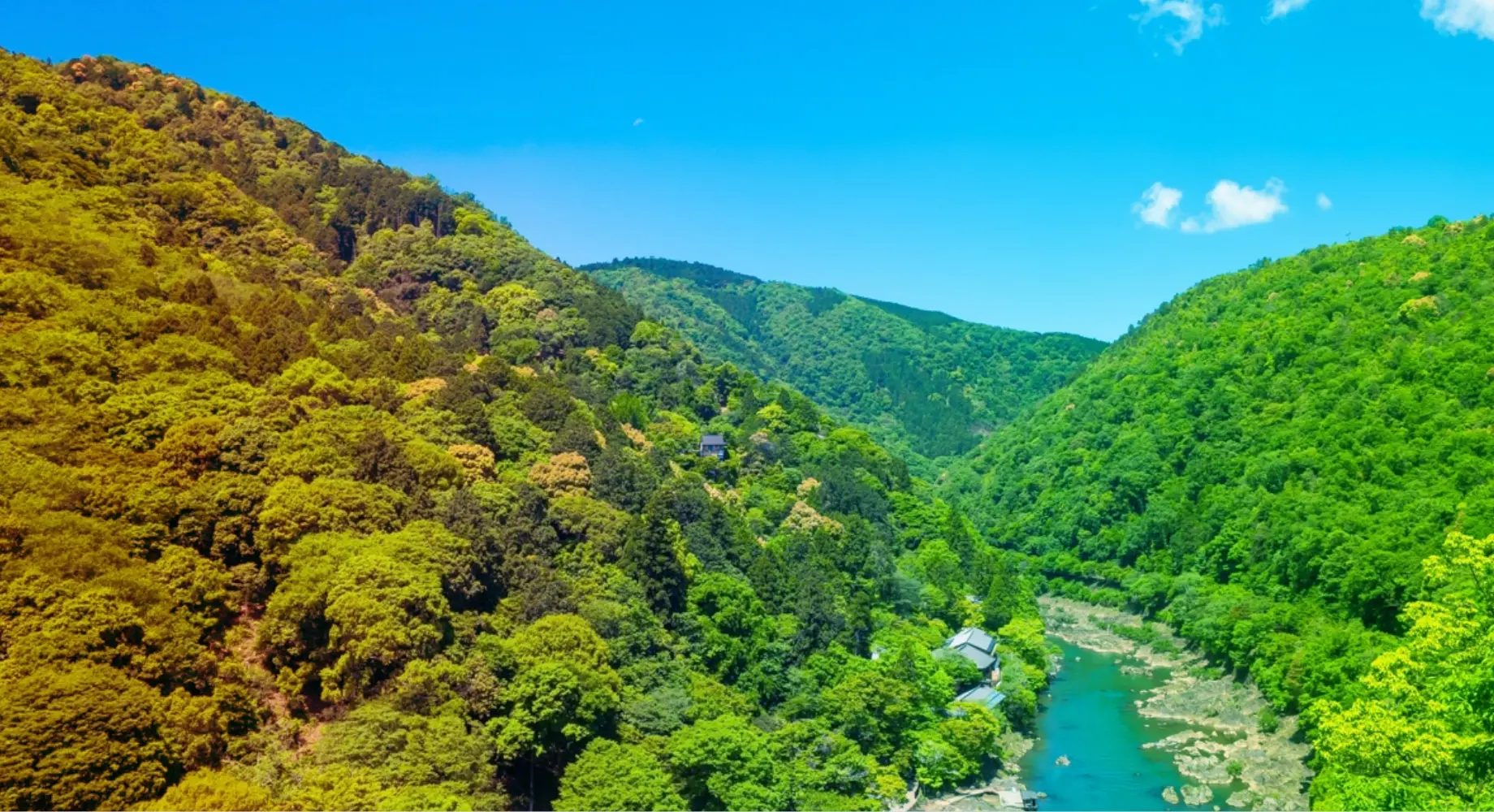 気づけばSDGs活動